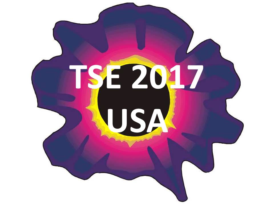 TSE 2017: back in the USA!